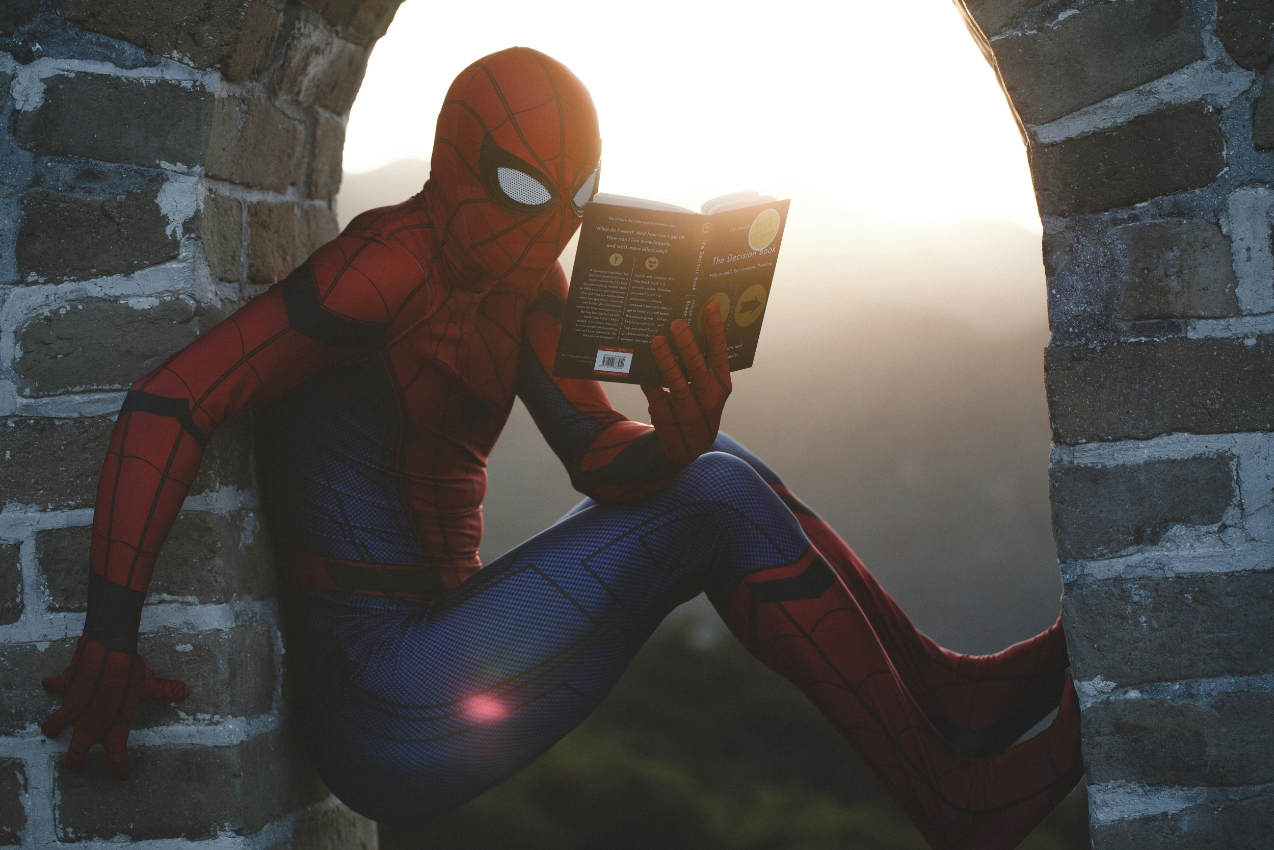 Spiderman perched in a window, reading a book