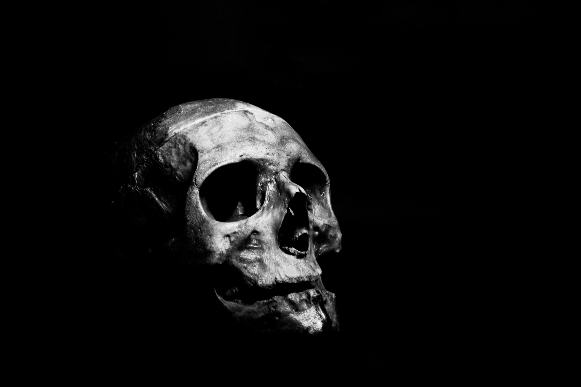 black and white photo of a human skull